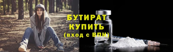 индика Мегион