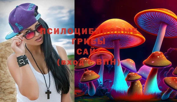 спиды Наволоки
