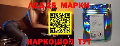 крисы Беслан