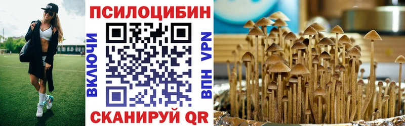 купить наркотики сайты  Морозовск  Псилоцибиновые грибы Cubensis 