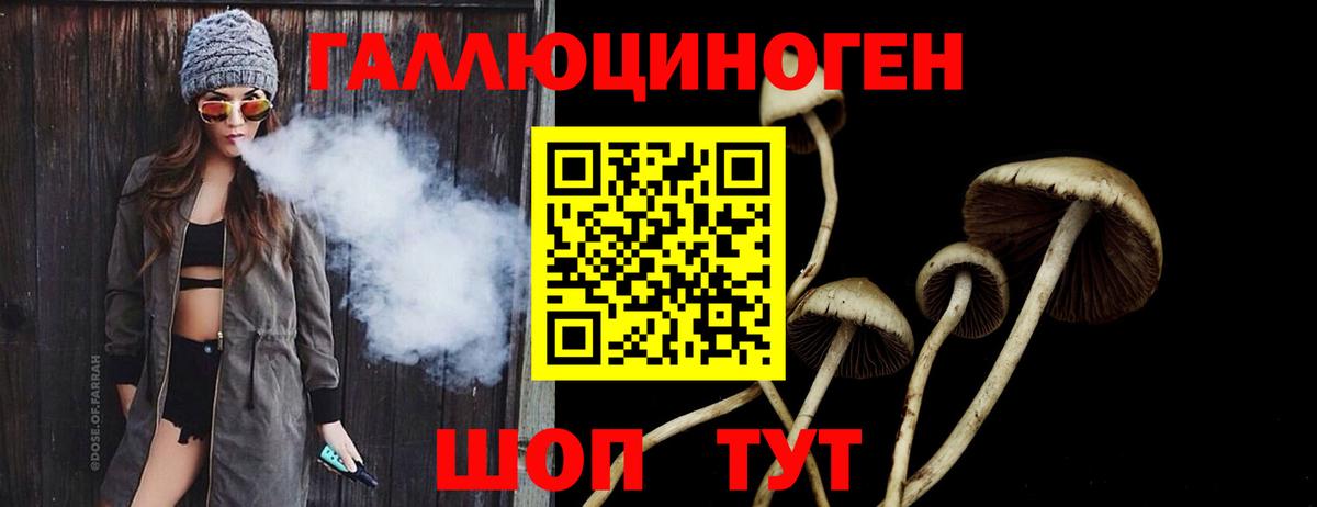 Псилоцибиновые грибы Psilocybine cubensis Морозовск