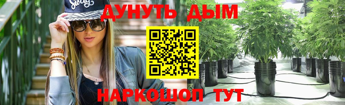 Бошки Шишки SATIVA & INDICA  Бошки Шишки SATIVA & INDICA  Шишки марихуана планчик  Вход с VPN  Морозовск 